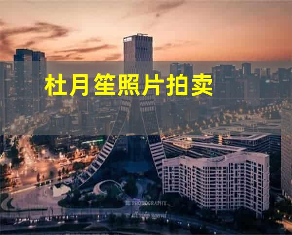 杜月笙照片拍卖