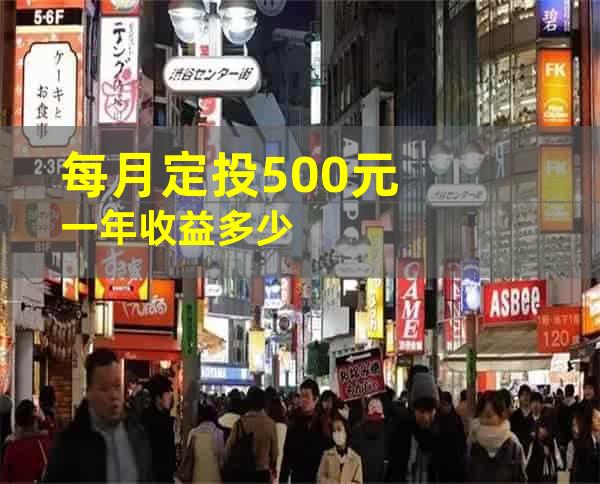 每月定投500元一年收益多少