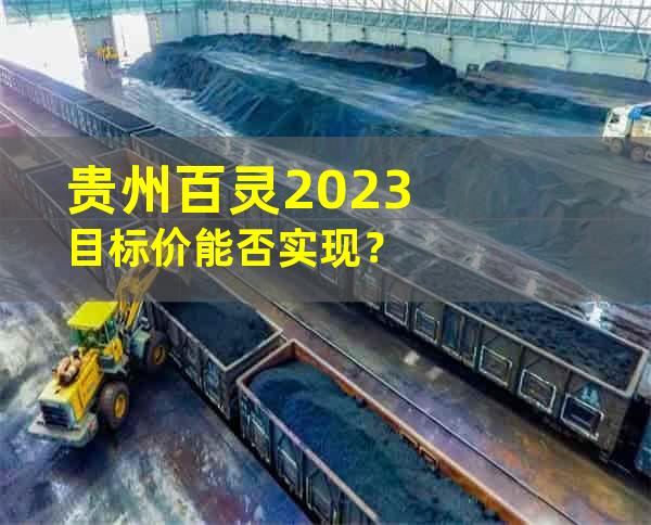 贵州百灵2023目标价能否实现？