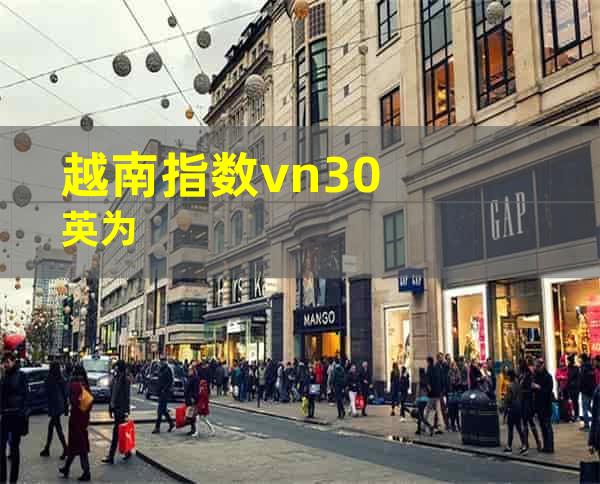 越南指数vn30英为