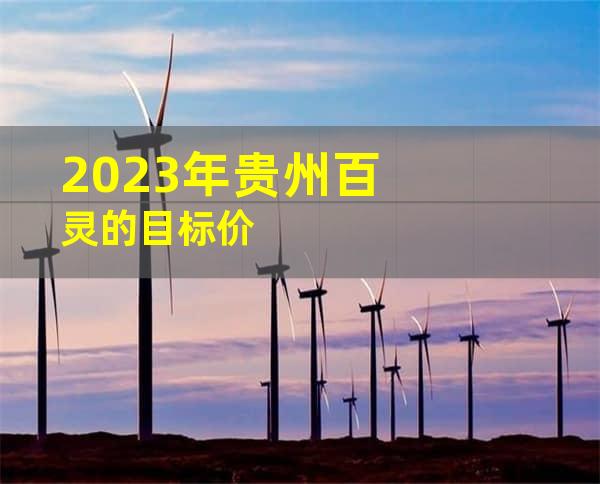 2023年贵州百灵的目标价