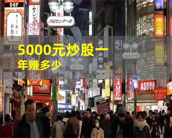 5000元炒股一年赚多少