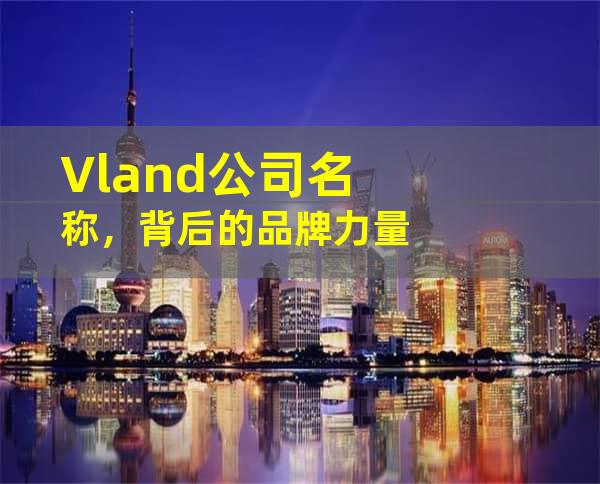 Vland公司名称，背后的品牌力量