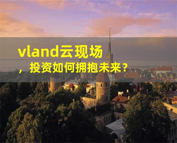 vland云现场，投资如何拥抱未来？