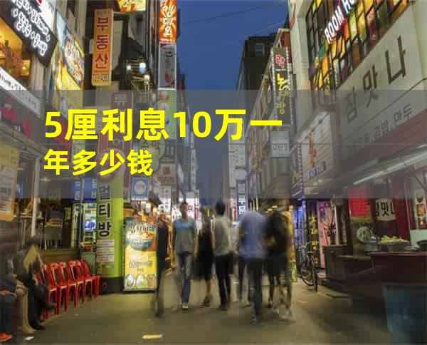 5厘利息10万一年多少钱