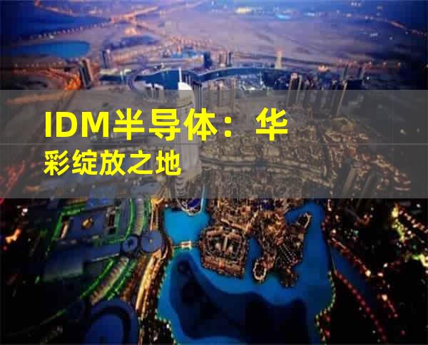 IDM半导体：华彩绽放之地