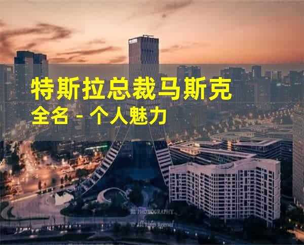 特斯拉总裁马斯克全名 - 个人魅力