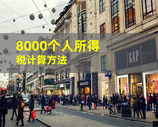 8000个人所得税计算方法