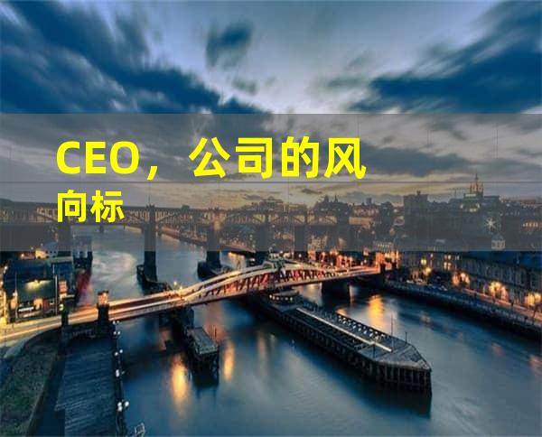 CEO，公司的风向标