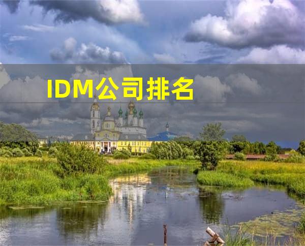 IDM公司排名