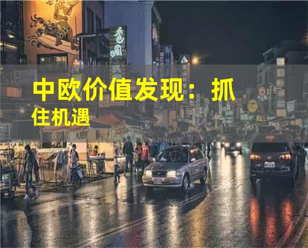 中欧价值发现：抓住机遇