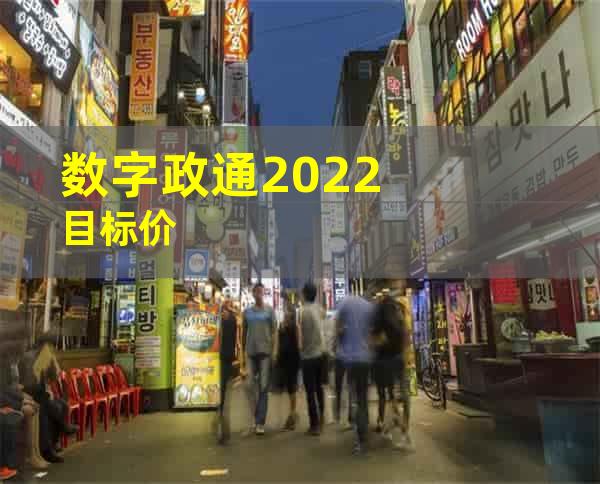 数字政通2022目标价