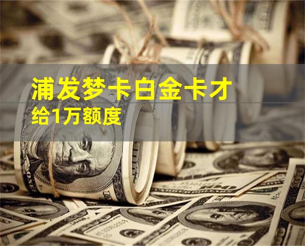 浦发梦卡白金卡才给1万额度