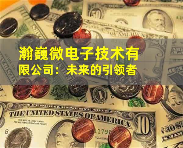 瀚巍微电子技术有限公司：未来的引领者