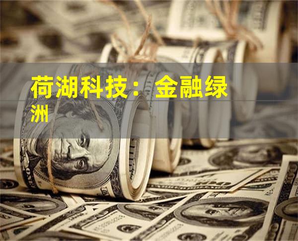 荷湖科技：金融绿洲