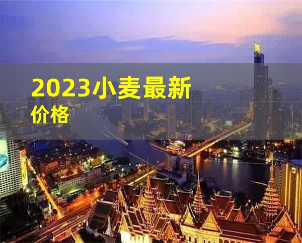 2023小麦最新价格