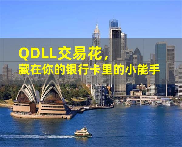 QDLL交易花，藏在你的银行卡里的小能手