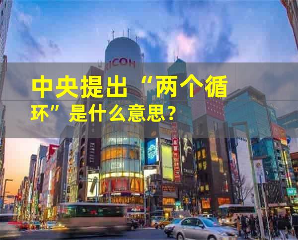 中央提出“两个循环”是什么意思？