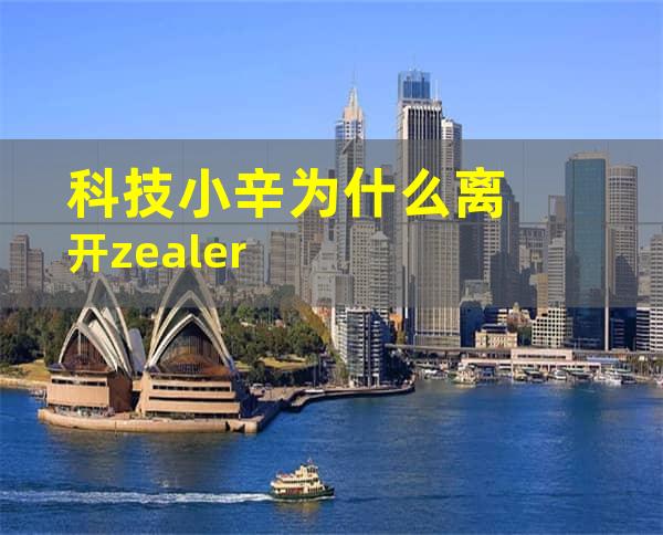 科技小辛为什么离开zealer