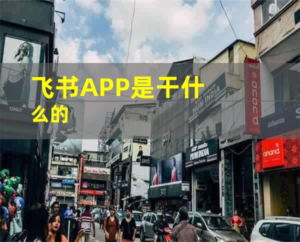 飞书APP是干什么的