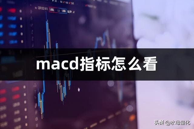 macd指标怎么看？（macd指标详解）