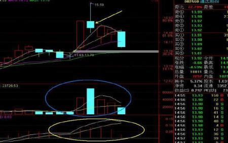 短线投资大师：揭开实用炒股技术，涨停板买入卖出法